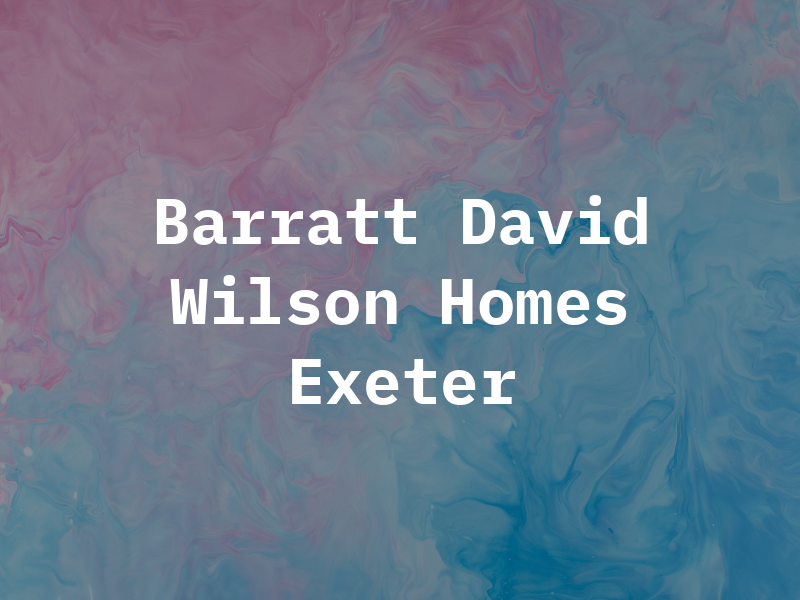 Barratt & David Wilson Homes Exeter