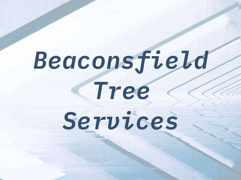 Beaconsfield Tree Services