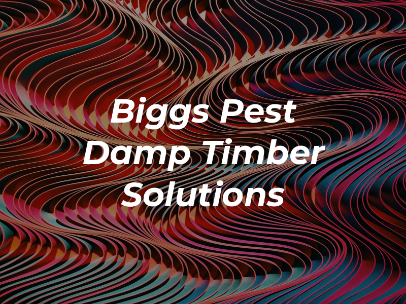 Biggs Pest Damp & Timber Solutions