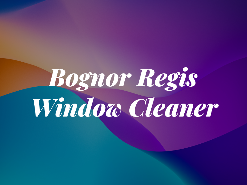 Bognor Regis Window Cleaner