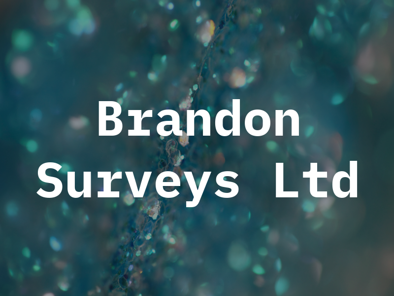 Brandon Surveys Ltd