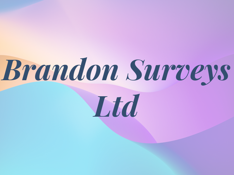 Brandon Surveys Ltd