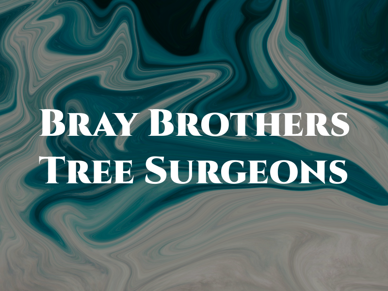 Bray Brothers Tree Surgeons