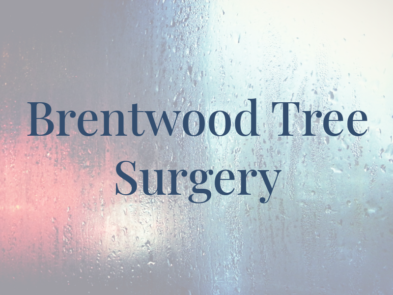 Brentwood Tree Surgery Ltd