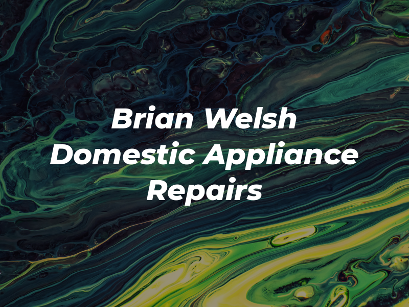 Brian Welsh Domestic Appliance Repairs