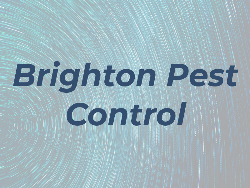Brighton Pest Control
