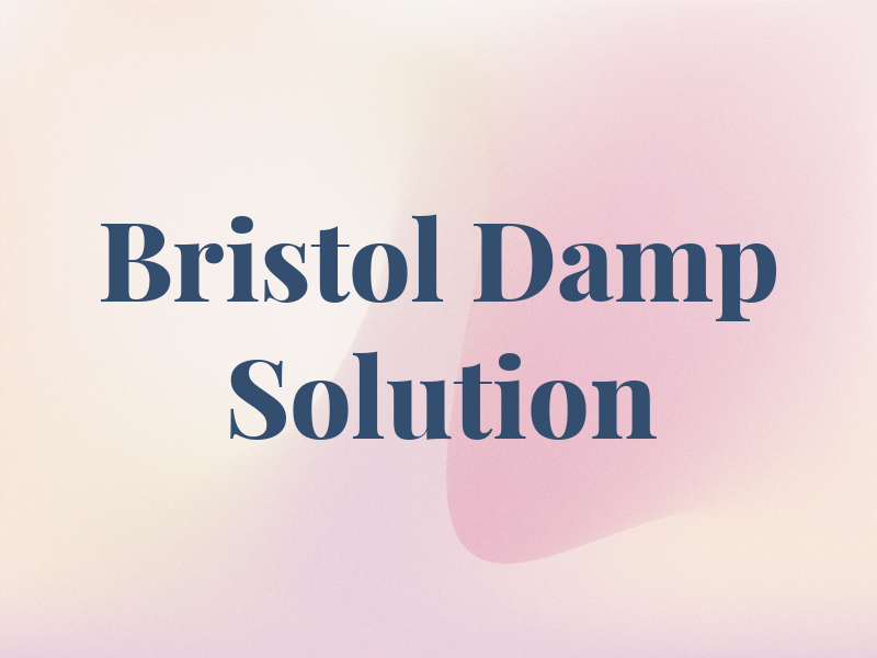 Bristol Damp Solution