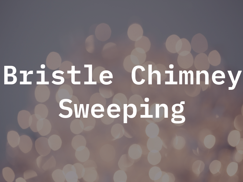 Bristle Chimney Sweeping