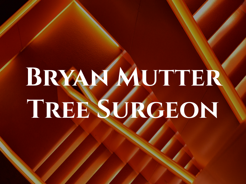 Bryan Mutter Tree Surgeon