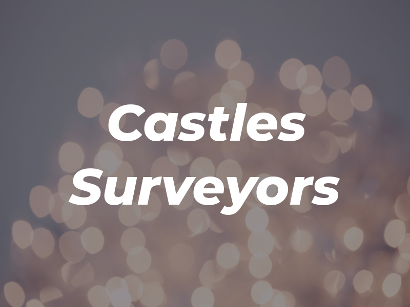 Castles Surveyors