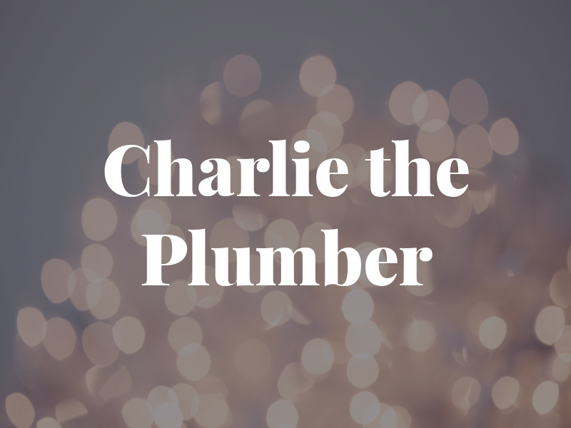 Charlie the Plumber