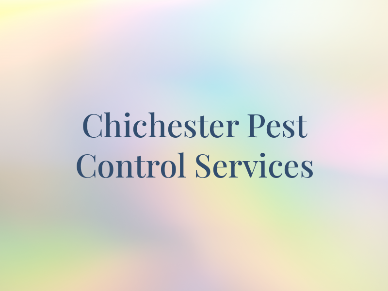 Chichester Pest Control Services