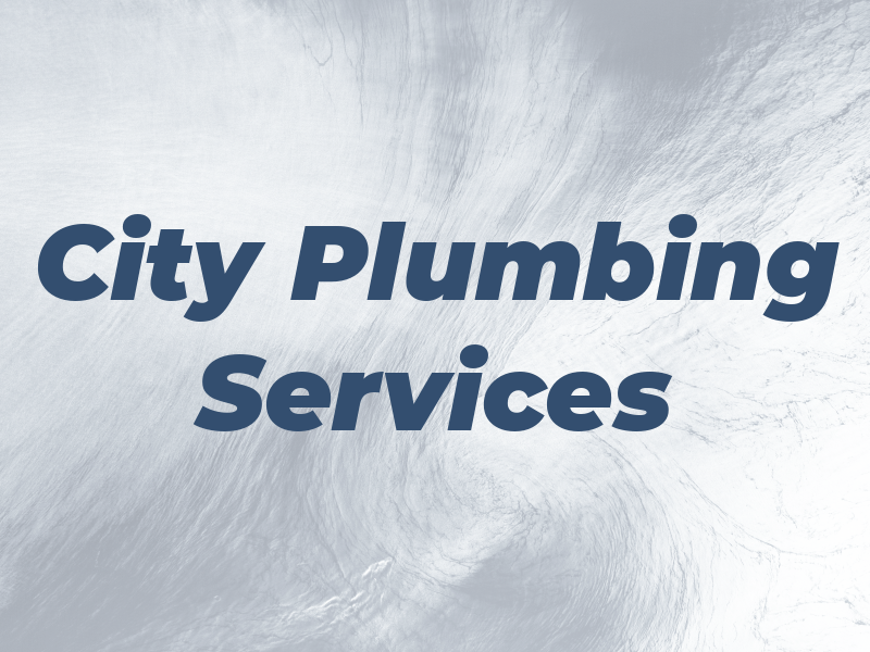 City Plumbing Services Ltd