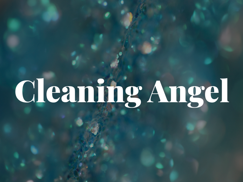 Cleaning Angel