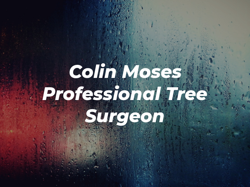 Colin Moses Professional Tree Surgeon
