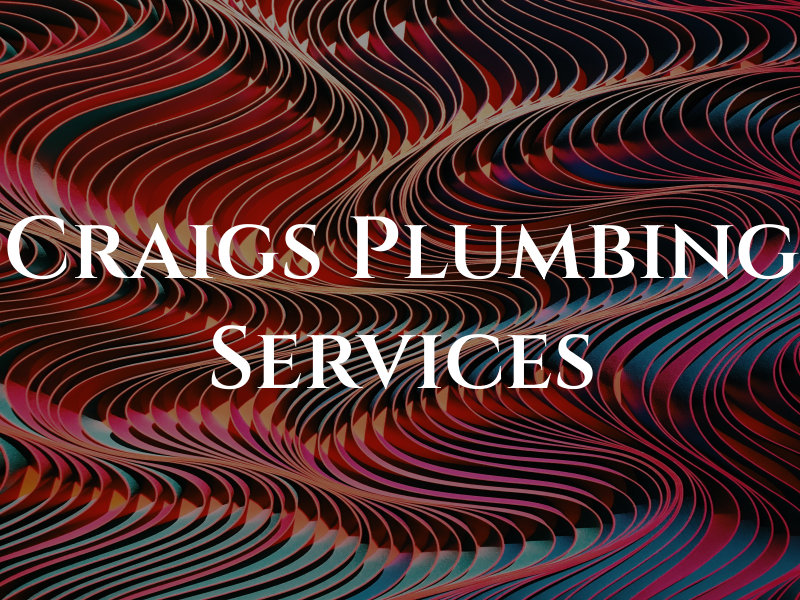 Craigs Plumbing Services