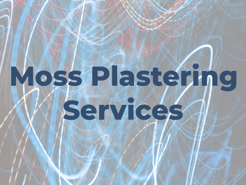 D Moss Plastering Services
