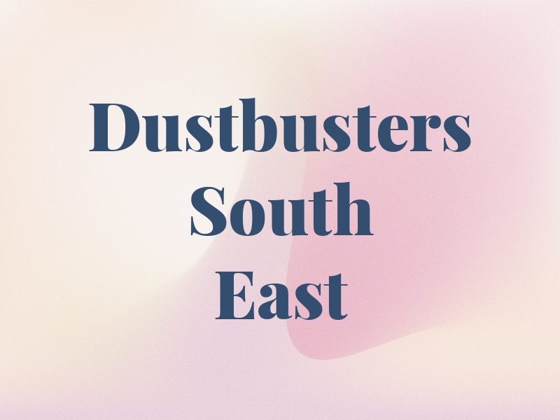Dustbusters South East Ltd