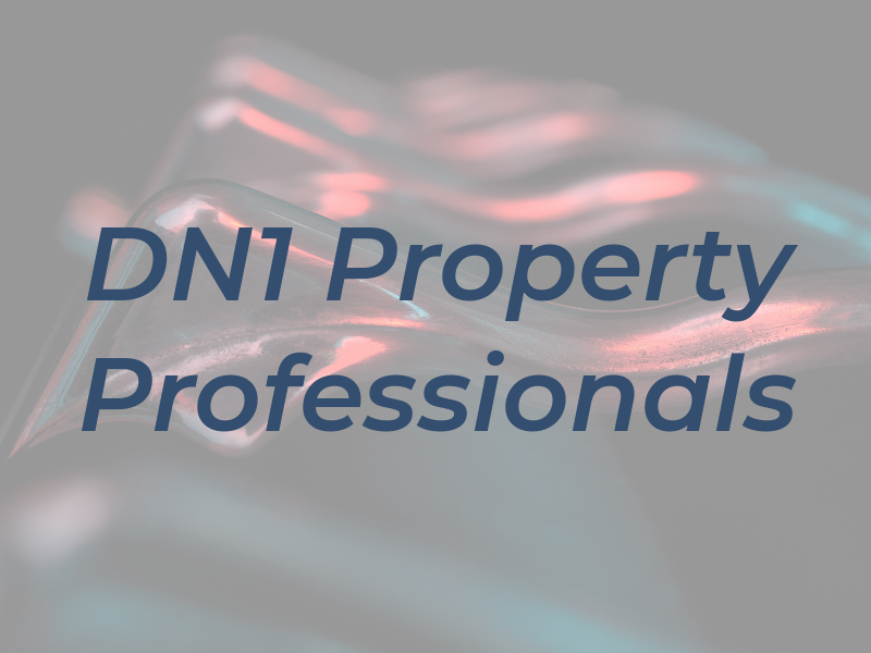 DN1 Property Professionals