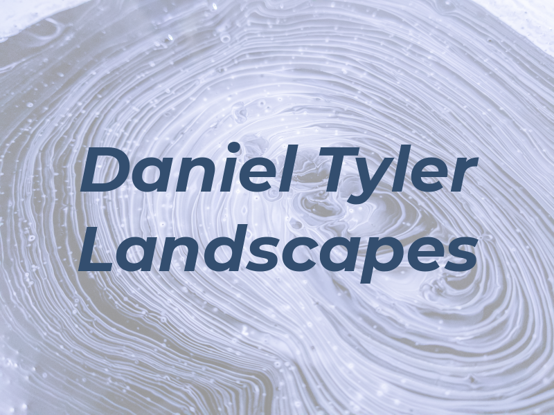 Daniel Tyler Landscapes