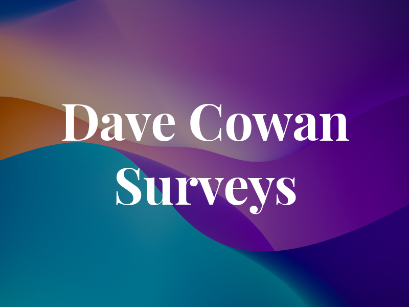 Dave Cowan Surveys Ltd