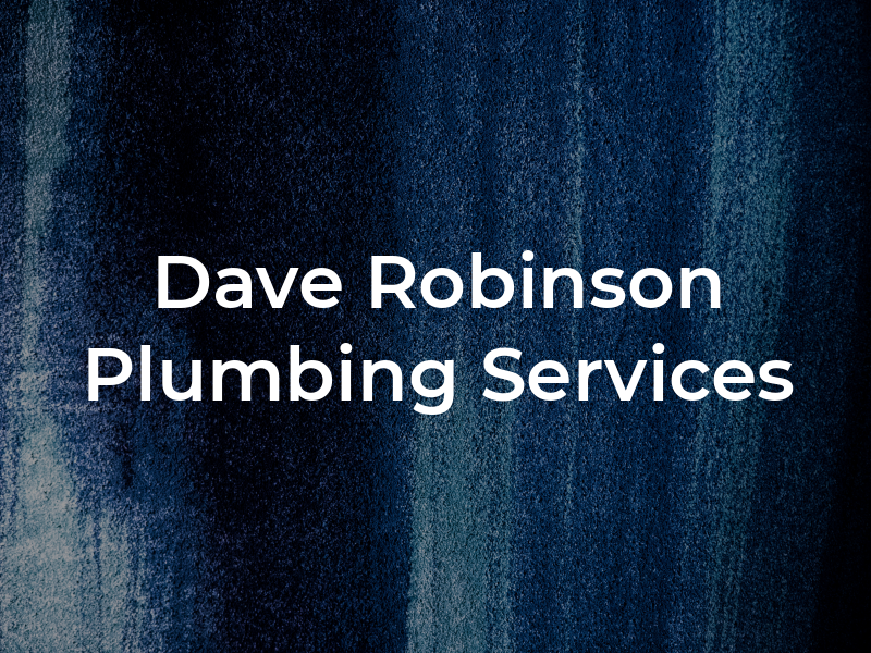 Dave Robinson Plumbing Services
