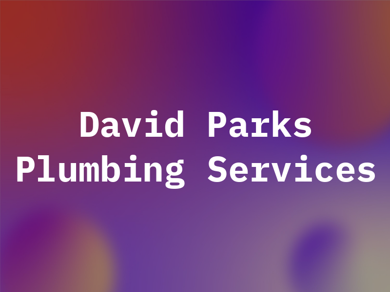 David Parks Plumbing Services