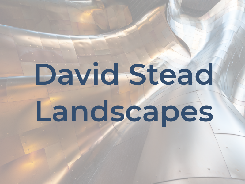 David Stead Landscapes Ltd