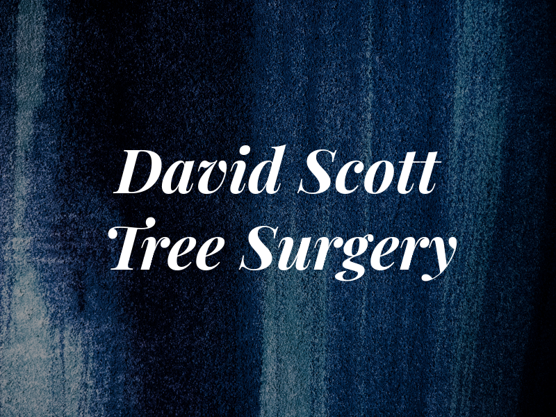 David Scott Tree Surgery