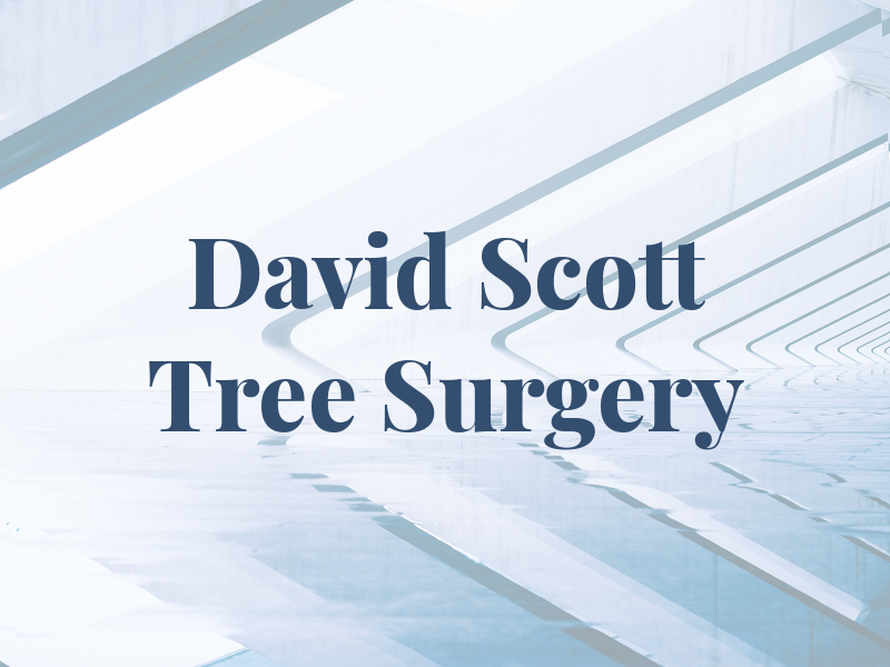 David Scott Tree Surgery