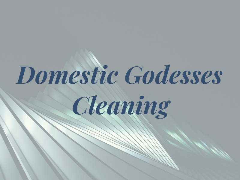 Domestic Godesses Cleaning