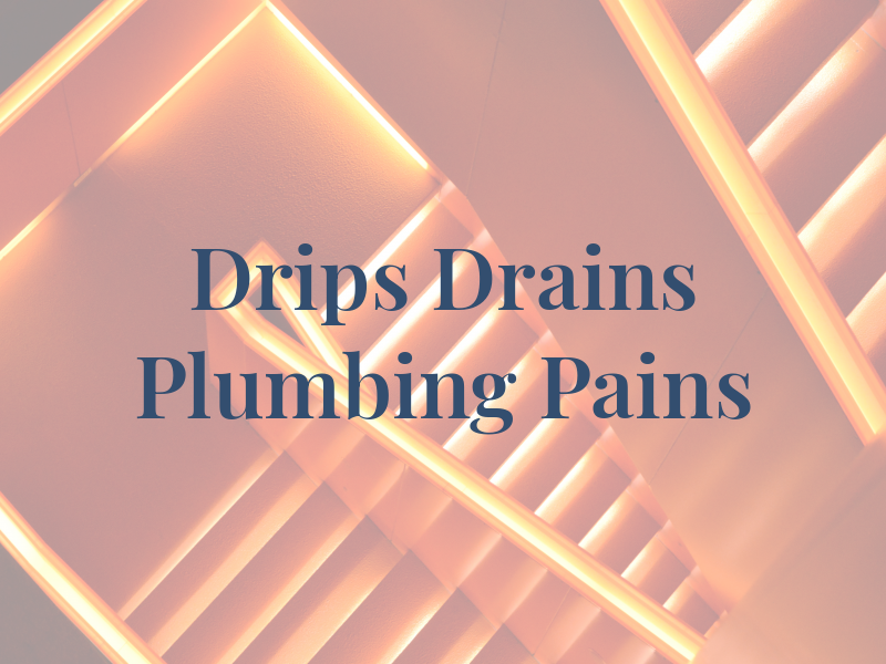 Drips Drains & Plumbing Pains