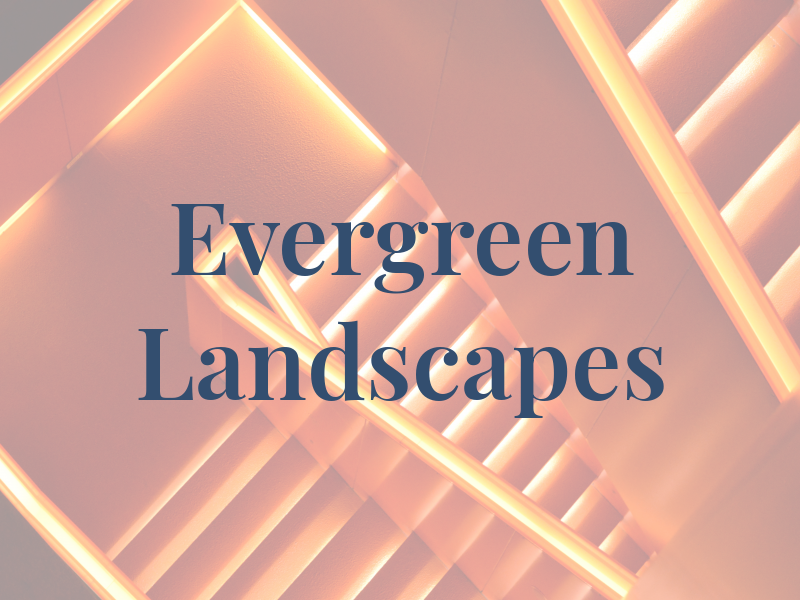 Evergreen Landscapes