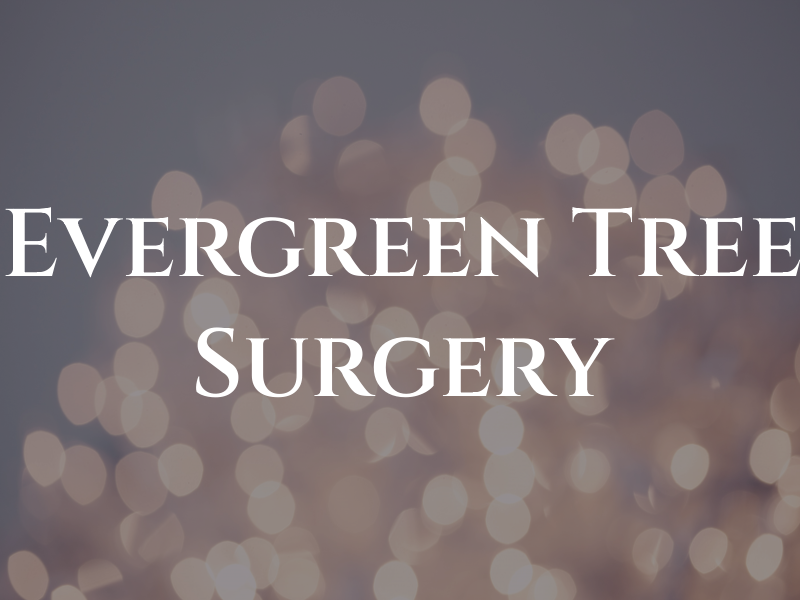 Evergreen Tree Surgery