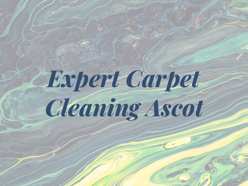 Expert Carpet Cleaning Ascot