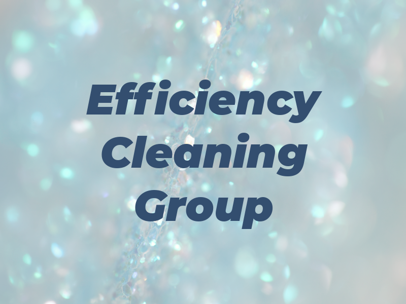 Efficiency Cleaning Group