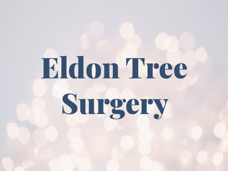 Eldon Tree Surgery