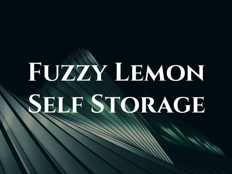 Fuzzy Lemon Self Storage