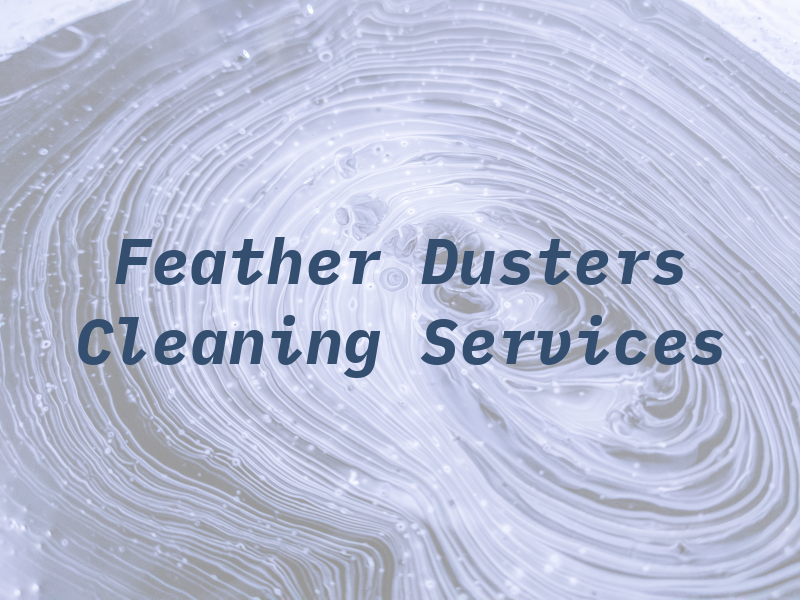 Feather Dusters Cleaning Services