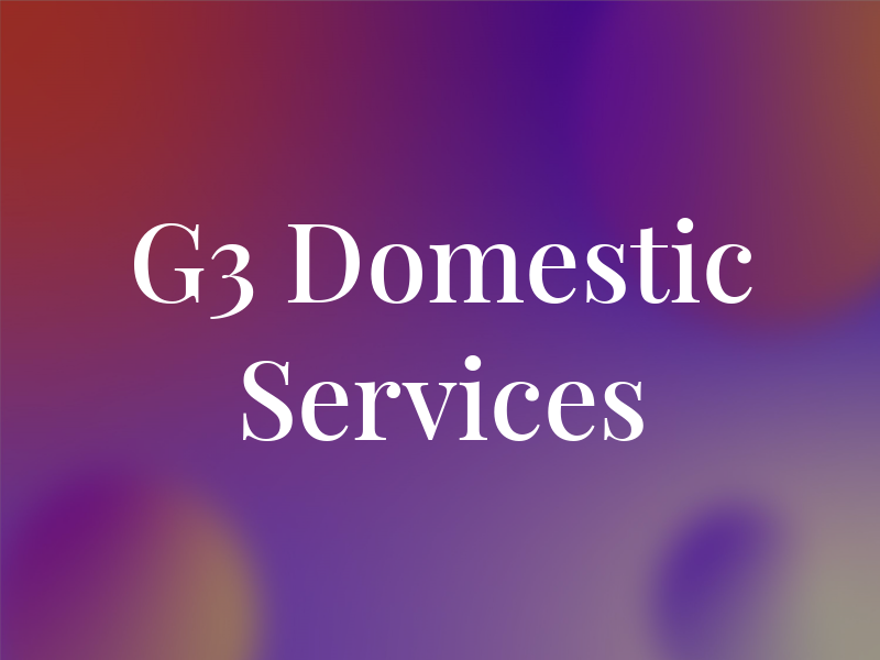 G3 Domestic Services