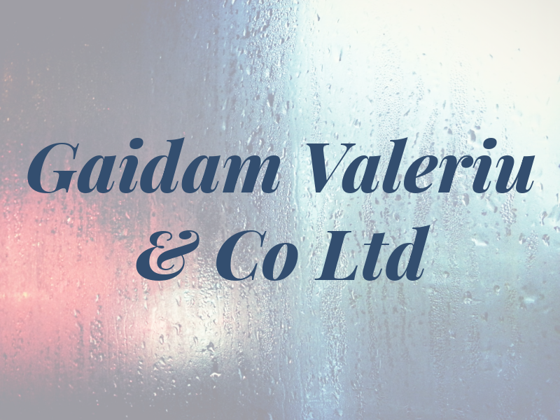 Gaidam Valeriu & Co Ltd