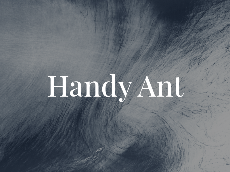 Handy Ant