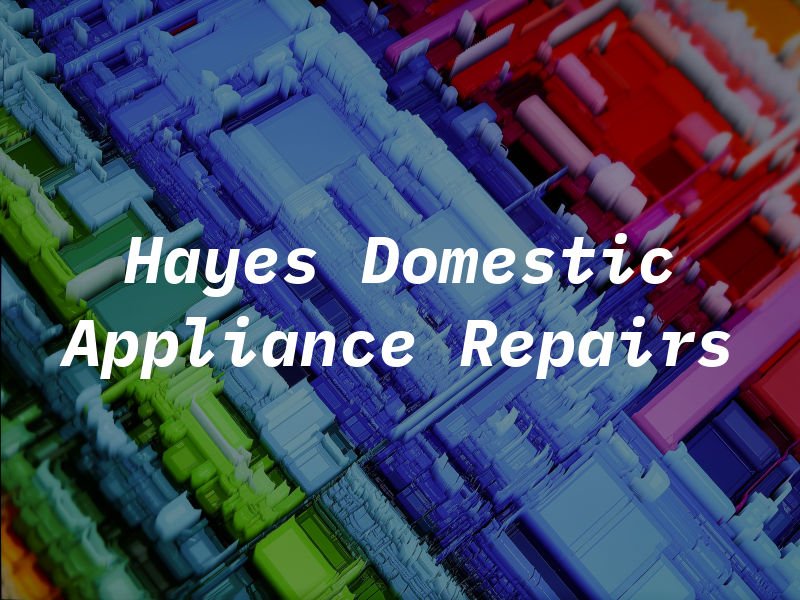 Hayes Domestic Appliance Repairs