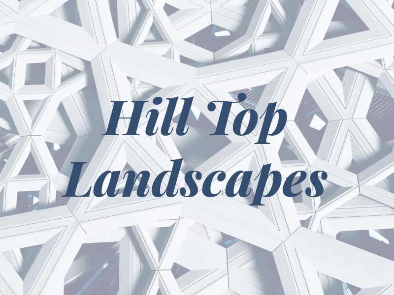 Hill Top Landscapes