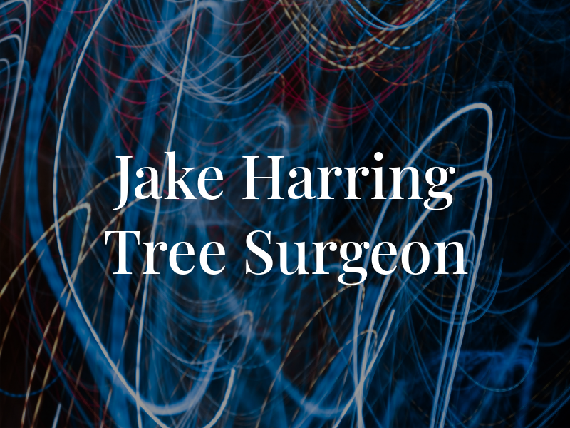 Jake Harring Tree Surgeon