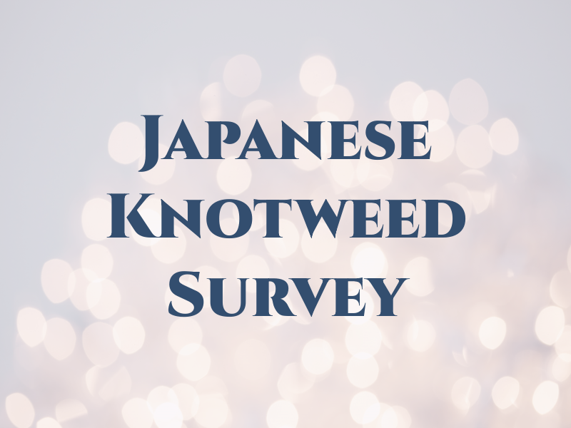 Japanese Knotweed Survey