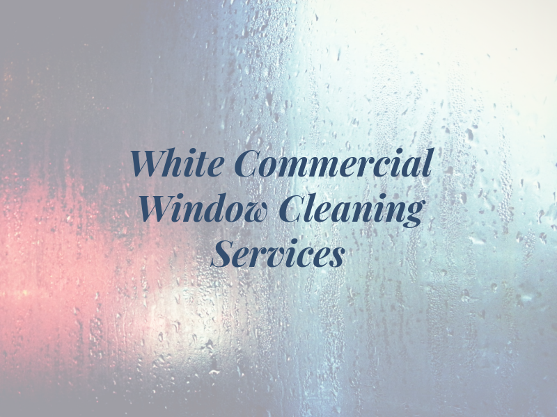 L. White Commercial Window Cleaning Services