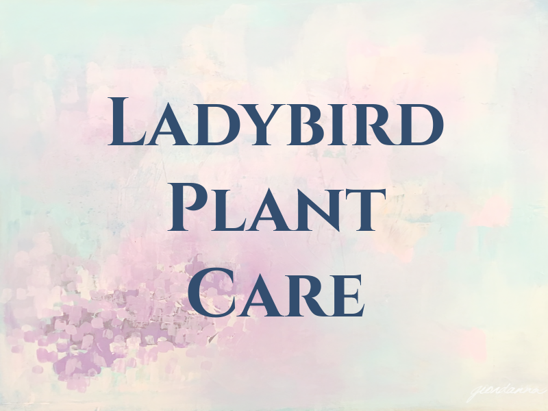 Ladybird Plant Care