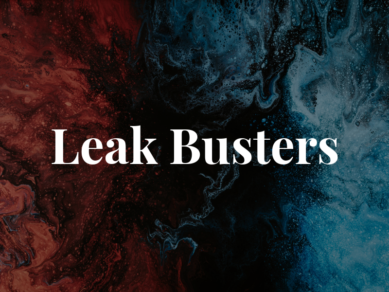 Leak Busters
