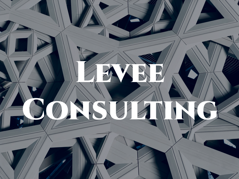 Levee Consulting